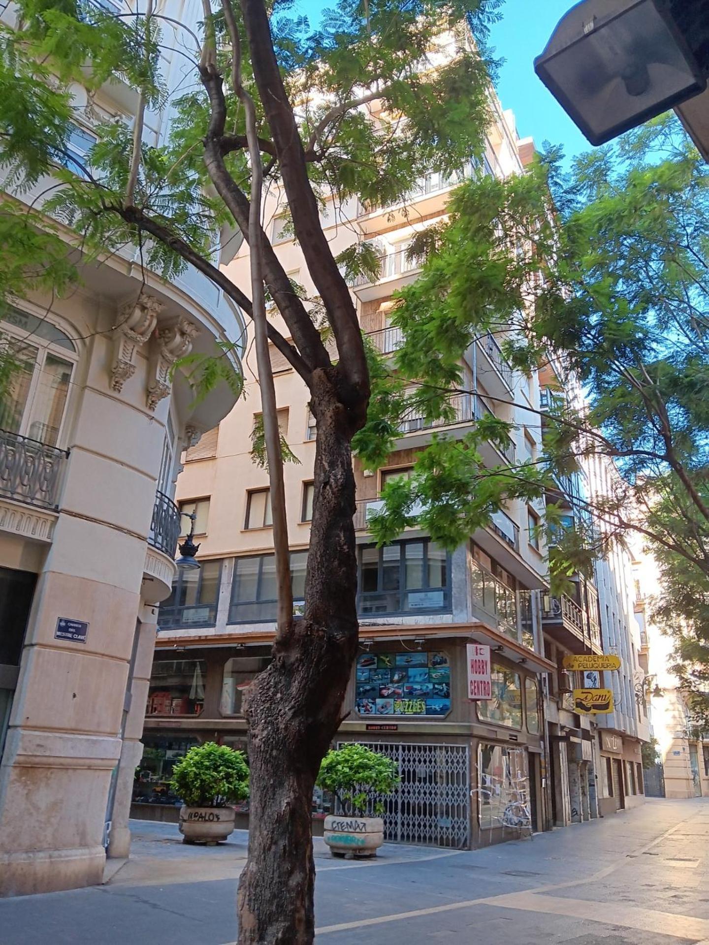 Apartamento Familiar Centro Historico Plaza Ayuntamiento "Ciutat Vella" บาเลนเซีย ภายนอก รูปภาพ